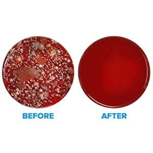 PhoneSoap results